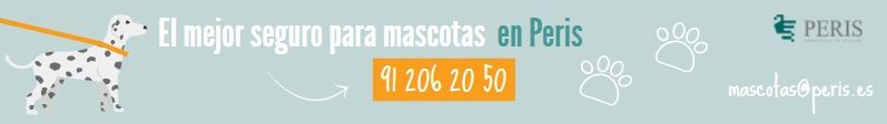 Seguros para mascotas peris correduria de seguros cuando vacunar a un cachorro de perro